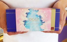 目黒のサクラ基金　ショコラプレーン