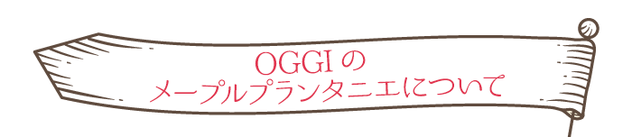 OGGIのメープルプランタニエについて