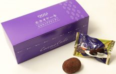 OGGI カカオケーキ カカオニブブランデー【8個】 OGGI カカオケーキ カカオニブブランデー【8個】